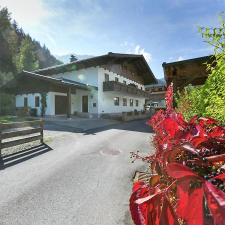 Apartment In Salzburgerland Near The Ski Area Viehhofen Exterior foto