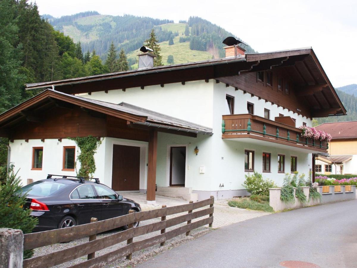 Apartment In Salzburgerland Near The Ski Area Viehhofen Exterior foto