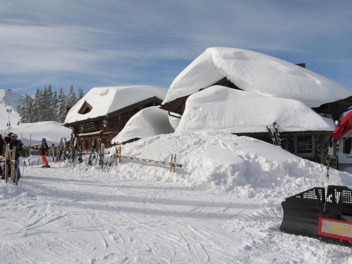 Apartment In Salzburgerland Near The Ski Area Viehhofen Exterior foto